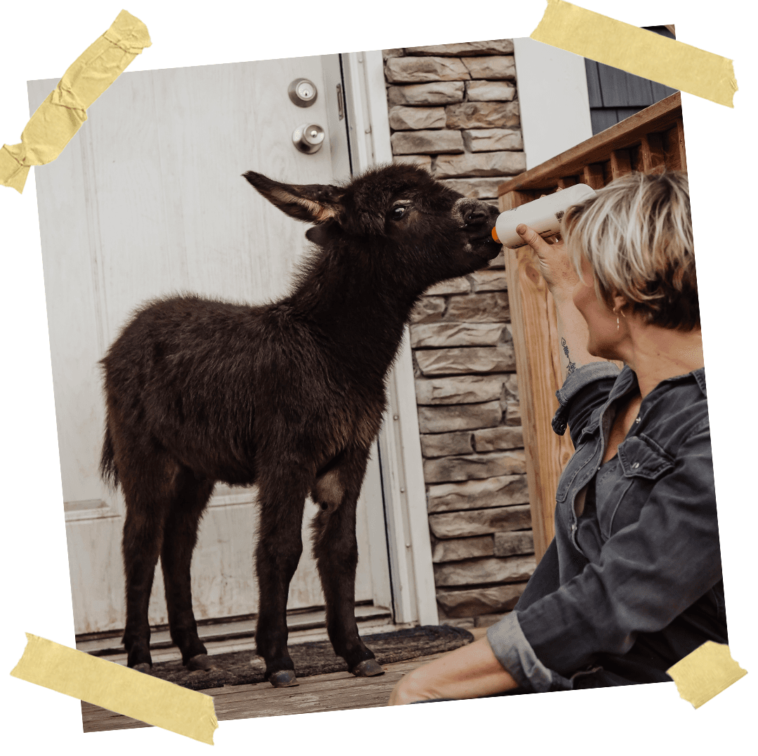 Cash's Crew Rescue Story